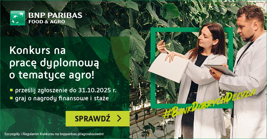 grafika